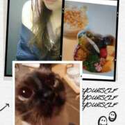 ここ 1日中 モアグループ川越人妻花壇