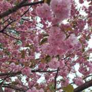 ヒメ日記 2025/05/07 15:28 投稿 あやの BAD COMPANY 札幌