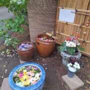 あやの こんにちは BAD COMPANY 札幌