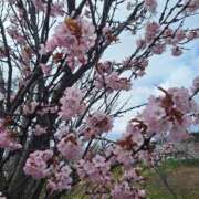 ヒメ日記 2026/04/25 21:38 投稿 あやの BAD COMPANY 札幌