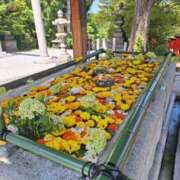 ヒメ日記 2026/06/19 16:35 投稿 あやの BAD COMPANY 札幌