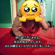 ゆい 申し訳ありません BAD COMPANY 札幌