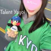 ヒメ日記 2025/04/24 20:00 投稿 やよい 多恋人 新宿店