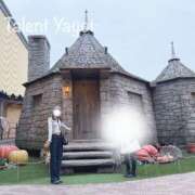 ヒメ日記 2025/10/23 20:00 投稿 やよい 多恋人 新宿店