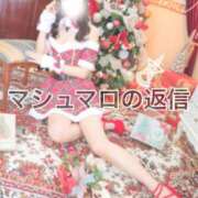 ヒメ日記 2025/12/20 12:00 投稿 やよい 多恋人 新宿店