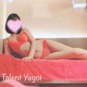 ヒメ日記 2026/02/28 12:00 投稿 やよい 多恋人 新宿店