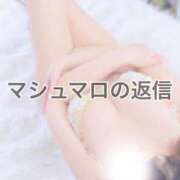 ヒメ日記 2026/03/29 12:01 投稿 やよい 多恋人 新宿店