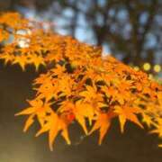 ヒメ日記 2026/09/07 19:54 投稿 桜木～SAKURAGI～ BBW 西川口店