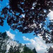 ヒメ日記 2026/10/23 21:51 投稿 桜木～SAKURAGI～ BBW 西川口店
