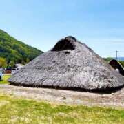 ヒメ日記 2025/05/16 12:36 投稿 はるか 恋のリフレイン