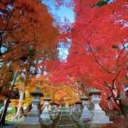 ヒメ日記 2025/11/12 21:23 投稿 はるか 恋のリフレイン