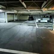 ヒメ日記 2025/12/16 12:21 投稿 はるか 恋のリフレイン