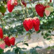 ヒメ日記 2025/05/10 18:06 投稿 いずみ 恋のリフレイン