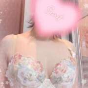 ヒメ日記 2025/04/17 19:29 投稿 つばさ DOUBLE（すすきの）