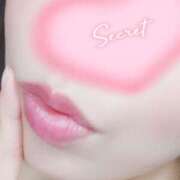 ヒメ日記 2025/11/17 08:28 投稿 つばさ DOUBLE（すすきの）