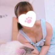 ヒメ日記 2025/04/12 16:29 投稿 ゆり DOUBLE（すすきの）