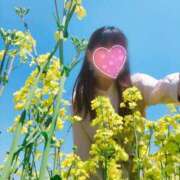 ヒメ日記 2025/07/12 10:30 投稿 ゆり DOUBLE（すすきの）