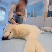 ヒメ日記 2025/07/17 09:28 投稿 ゆり DOUBLE（すすきの）