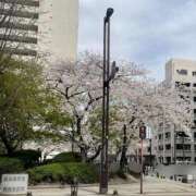 ヒメ日記 2025/04/02 12:59 投稿 渡辺 るみこ 愛の雫～性格美人～