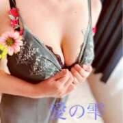 ヒメ日記 2025/06/11 13:29 投稿 渡辺 るみこ 愛の雫～性格美人～