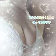 ヒメ日記 2025/03/19 15:28 投稿 川口 Mrs Sirena（ミセスシレナ）