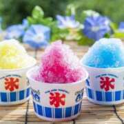 ヒメ日記 2025/06/25 11:29 投稿 川口 Mrs Sirena（ミセスシレナ）