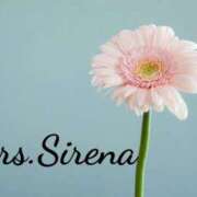 ヒメ日記 2025/09/12 13:29 投稿 川口 Mrs Sirena（ミセスシレナ）