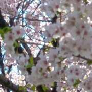 ヒメ日記 2025/05/07 21:29 投稿 さや Mrs Sirena（ミセスシレナ）