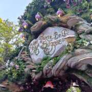 ヒメ日記 2025/06/15 19:28 投稿 さや Mrs Sirena（ミセスシレナ）