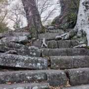 ヒメ日記 2026/02/01 15:29 投稿 さや Mrs Sirena（ミセスシレナ）