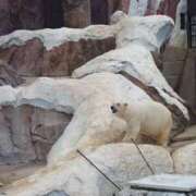 ヒメ日記 2025/01/24 15:54 投稿 福沢【ふくざわ】 丸妻 西船橋店