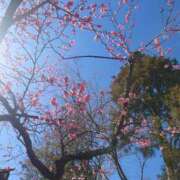 ヒメ日記 2025/02/21 09:11 投稿 福沢【ふくざわ】 丸妻 西船橋店