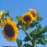 ヒメ日記 2025/07/19 16:57 投稿 福沢【ふくざわ】 丸妻 西船橋店