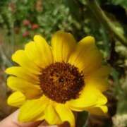 ヒメ日記 2025/08/02 14:57 投稿 福沢【ふくざわ】 丸妻 西船橋店