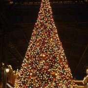 ヒメ日記 2025/12/25 12:35 投稿 福沢【ふくざわ】 丸妻 西船橋店