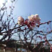 ヒメ日記 2026/02/28 17:35 投稿 福沢【ふくざわ】 丸妻 西船橋店