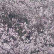 ヒメ日記 2026/03/28 12:44 投稿 福沢【ふくざわ】 丸妻 西船橋店