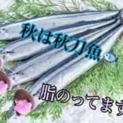 ヒメ日記 2024/10/26 00:11 投稿 じゅり☆ 豊橋豊川ちゃんこ