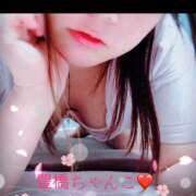 ヒメ日記 2024/12/25 18:52 投稿 じゅり☆ 豊橋豊川ちゃんこ