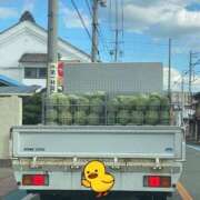 ヒメ日記 2024/12/29 11:14 投稿 じゅり☆ 豊橋豊川ちゃんこ