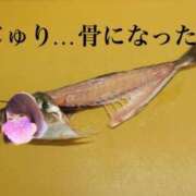 ヒメ日記 2025/02/10 20:52 投稿 じゅり☆ 豊橋豊川ちゃんこ