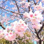 ヒメ日記 2025/03/31 13:32 投稿 じゅり☆ 豊橋豊川ちゃんこ