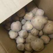 ヒメ日記 2025/05/28 00:12 投稿 じゅり☆ 豊橋豊川ちゃんこ