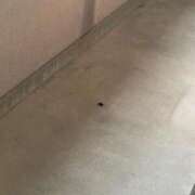 ヒメ日記 2025/07/13 19:22 投稿 じゅり☆ 豊橋豊川ちゃんこ