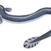 ヒメ日記 2025/07/21 16:24 投稿 じゅり☆ 豊橋豊川ちゃんこ