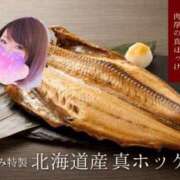 ヒメ日記 2026/02/12 12:22 投稿 じゅり☆ 豊橋豊川ちゃんこ