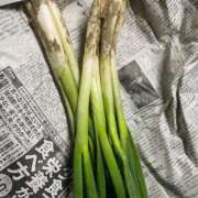 ヒメ日記 2026/02/26 02:12 投稿 じゅり☆ 豊橋豊川ちゃんこ