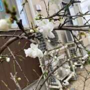 ヒメ日記 2026/03/26 21:32 投稿 じゅり☆ 豊橋豊川ちゃんこ