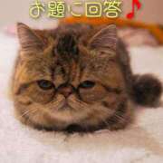 ヒメ日記 2024/12/07 10:27 投稿 ひかり 秘密倶楽部