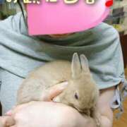 ヒメ日記 2024/12/08 10:00 投稿 ひかり 秘密倶楽部